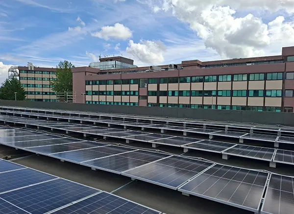 Responsible Research Hospital di Campobasso