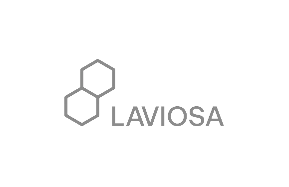 Laviosa_logo_glayx